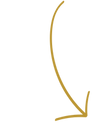 Ontwerp zonder titel.png