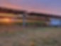 An orange and pink sunset sky over Hillston Sun Farm. Sun Farms Sommerlad chickens under the canopy on the green grass.