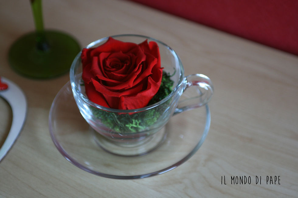 rosa