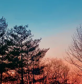 Best Small Business Loans & Financing in Albany GA