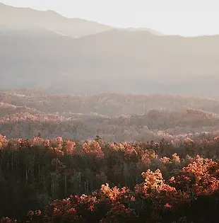 Best Small Business Loans & Financing in West Virginia