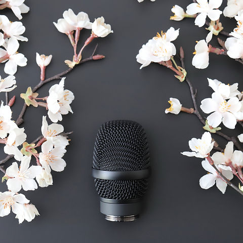 sakura-WL | Yokohama Microphone sakura-WL | Yokohama Microphone