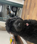 Blaky