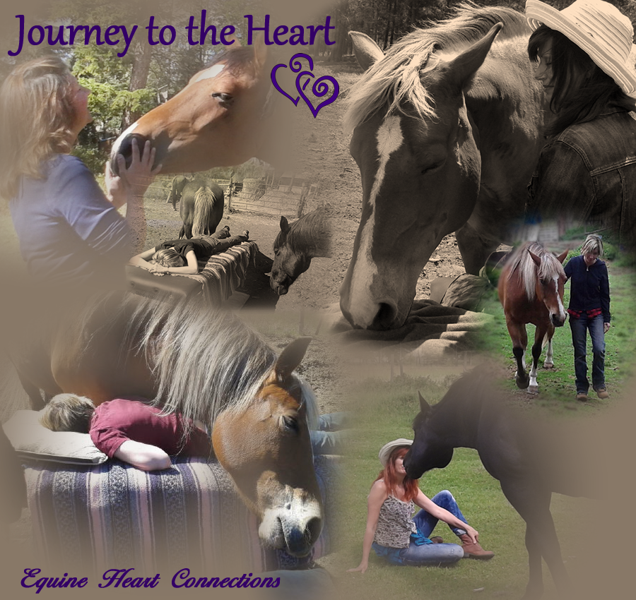 Journey to the Heart