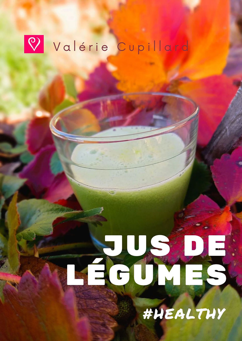 livre de recettes de jus de légumes santé