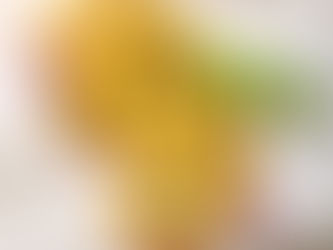 Cuisiner et manger sans gluten