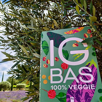Livre de recette à IG bas veggie sans gluten sans laitages