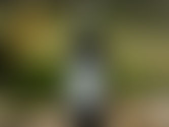 Des offres cadeaux bio