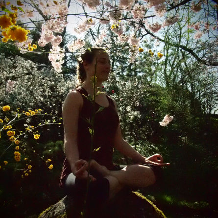 Dhyana, la Reine Méditation