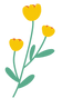 fleur 1.png