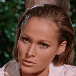 Image Default GIF.png