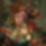 79, Jan van Huysum