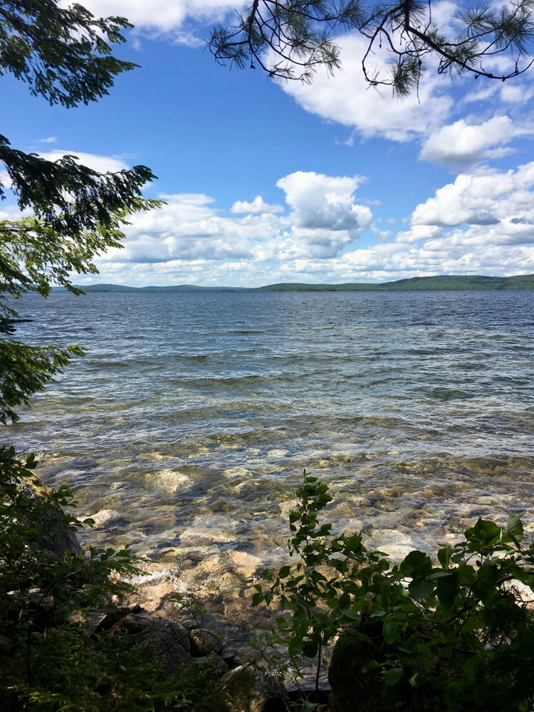 My Window to the World