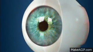 Ooqgn6.gif