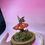 Thumbnail: Fairy Mushroom Dome • Enchanted Butterfly & Crystal Scene