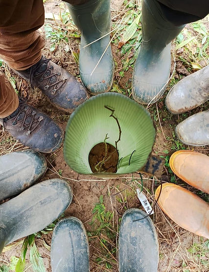 SWW Volunteers Boots Main.jpg