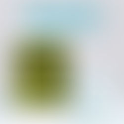 The Measure of Life by Judith Works is a book worth reading #womensfiction #litfic #wrpbks #mustread