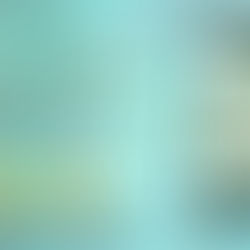 5 stars for Christmas at Tall Pines: A Holiday Romance by @darlene_deluca1 #holidayromance #romance