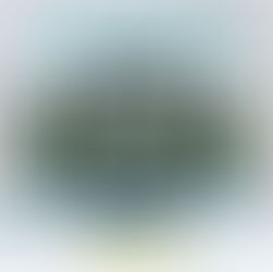 5++ stars for Pieces of Blue by Liz Flaherty #womensfiction #fiction #bookreview #booksworthreading