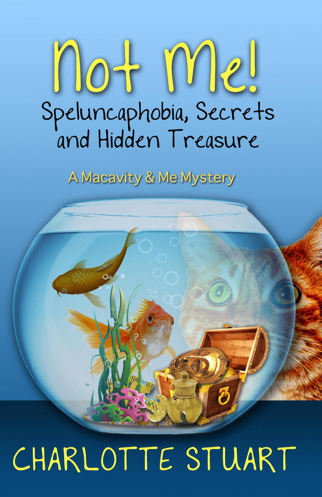 Not Me! Speluncaphobia, Secrets and Hidden Treasure by quirkymysteries