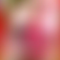 A Viscount’s Heart for Christmas by @dlmartin6 is a Christmas Festival pick #regency #giveaway