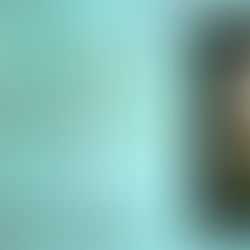 3 stars for The Lady and the Earl (Return to the Ladies of Sommer by the Sea Book 2) #romance #ku