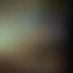 Southwest of Love and Murder by Brenda Whiteside is a Shake Off Winter Doldrums pick #giveaway