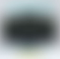 5+ stars for Widow’s Walk, Martha’s Vineyard Murders Book 3 by Raemi A. Ray #mystery #newrelease #bookreview