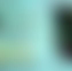 5 stars for The 7 Hungers: Brine Council by @morgan_quaid #uf #horror #darkfantasy #bookreview