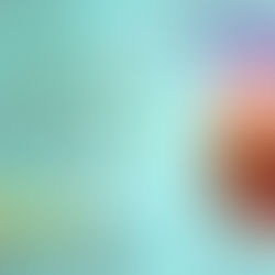 5 stars for Bella Cigna (Foreign Endearments Book 1) by @Wendi_Dass1 #romance #bookreview #wrpbks