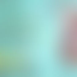 5+ stars for Two Hearts for Christmas by @RussoAuthor #holidayromance #sweetromance #bookreview