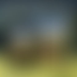 Preorder Blitz! The Maidservant in Cabin Number One: The Beginning (The Guest Book Trilogy 4) by Chrysteen Braun #preorder #historicalfiction #fiction