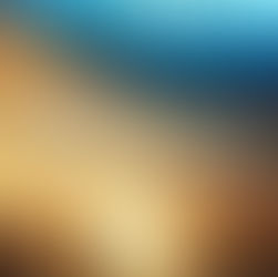 Book Review | Will Rise from Ashes by @JeanGrant05 #womensfiction #bookish #bookreview