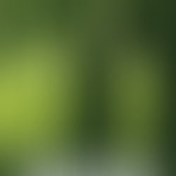 Arborview by @kguzman_author is a BHW pick #newrelease #womensfiction #bookboost