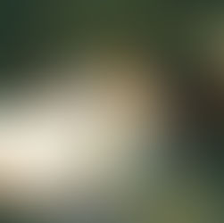 Marrying My MothLady by Marilyn Barr is a book worth reading #monsterromance #preorder #mustread