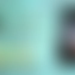 5 stars for The Crystal Canvas by @JcrPaulino #supernaturalthriller #thriller #bookreview