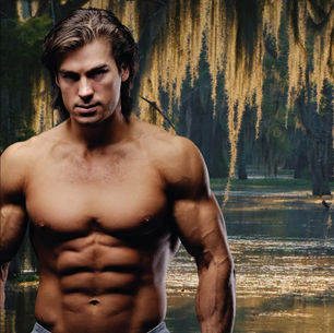 Ambush in the Everglades by @authorpetie is a Super Sale pick #romance #sale #booksale #giveaway
