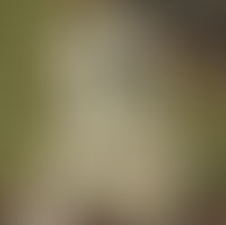 Sarah's Song by Vicky Whedbee is a Fall Into These Great Reads pick #historicalfiction #giveaway