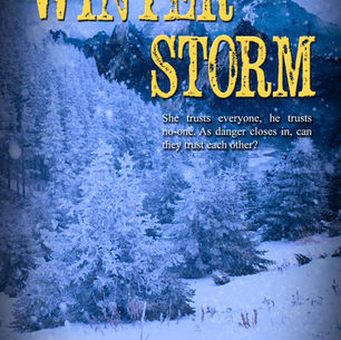 Winter Storm by @elliegray58 is a BHW pick #romanticsuspense #bookboost #newrelease