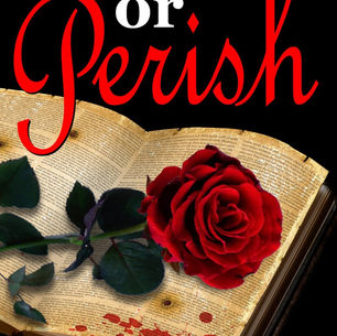 Publish or Perish by @kerryblaisdell1 is a Mystery and Suspense Festival pick #mystery #romance