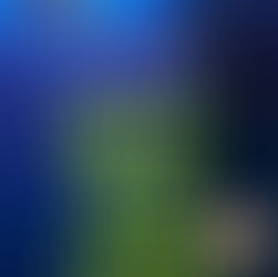 Why She Lied by Award-Winning Author @JulieCoons1 is a Fall Into These Great Reads Pick #thriller #s