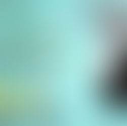 5+ stars for Torment in the Wind by Judy Bruce #mystery #suspense #bookreview