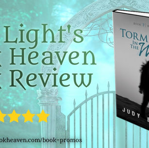 5+ stars for Torment in the Wind by Judy Bruce #mystery #suspense #bookreview
