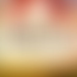 New Release | Winning Hailey’s Heart by @authorkimberly1 #romance #horses #newrelease #giveaway