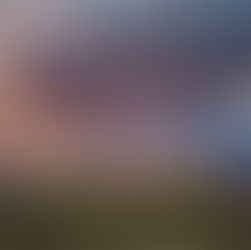 Secrets of The Ravine by @brendawhitesid2 is a Book Series Starter pick #romanticsuspense #giveaway