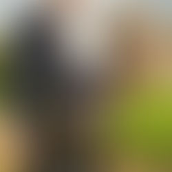 Tempting Lord Lucius by Award-Winning Author @alannalucas27 is a Fall Into These Great Reads Pick #R