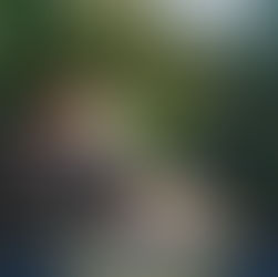 #99cents alert! The Lady of the Forest by Award-Winning Author @BarbaraBettis