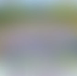 A Year of Romance, books 1-4, Dorado, Texas by Linda Carroll-Bradd is a Historical Fiction/Romance Event pick #99cents #historicalromance #mustread #giveaway