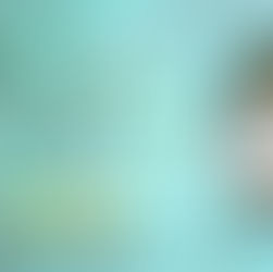 5+ stars for The Romanov Legacy: A Novel (Audiobook) by @MarilynBaron #historicalmystery #audible