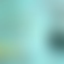 5 stars for The Fog Ladies: Family Matters by @SMcCormickBooks #cozy #murdermystery #newrelease